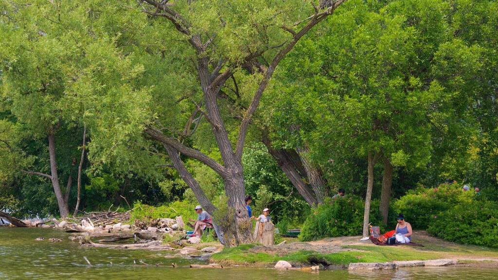 Richmond Hill ofreciendo un río o arroyo y jardín y también un pequeño grupo de personas