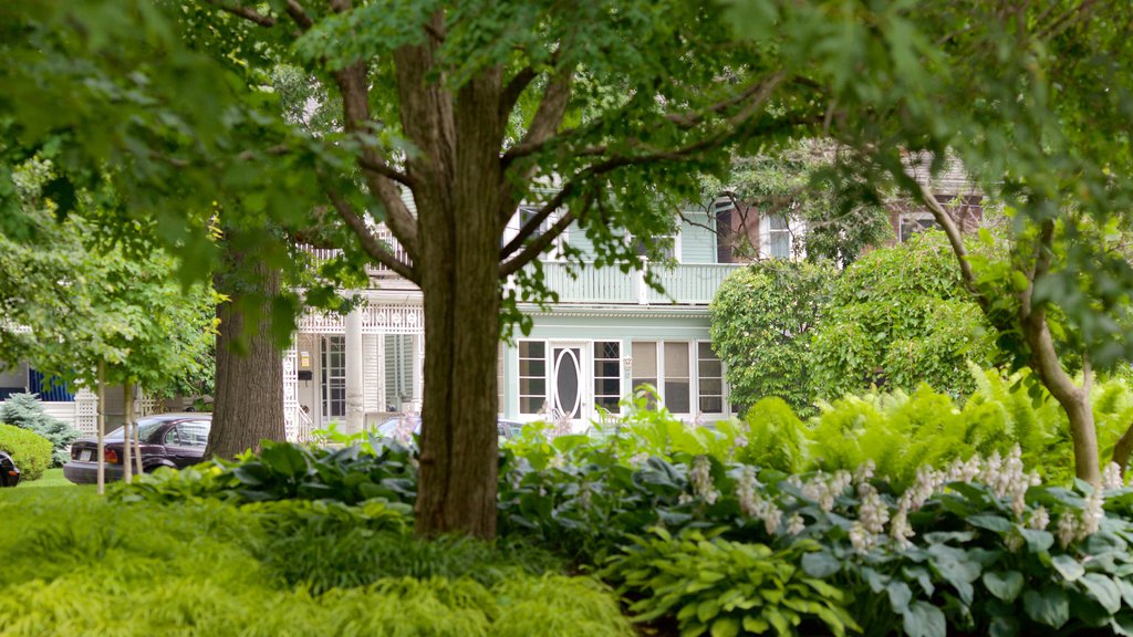 Scarborough Village showing a garden