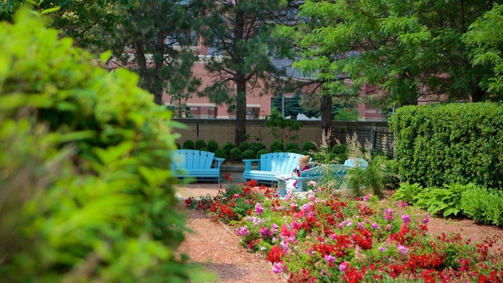 Mississauga Civic Centre which includes flowers and a garden