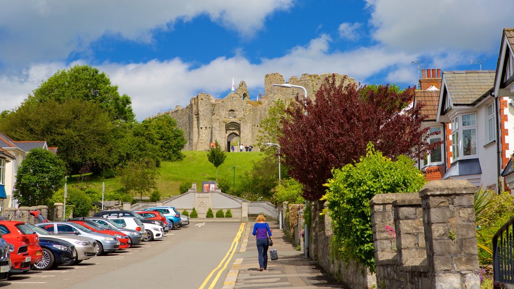 Swansea que incluye imágenes de calles