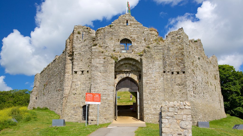 Oystermouth Castle showing heritage elements