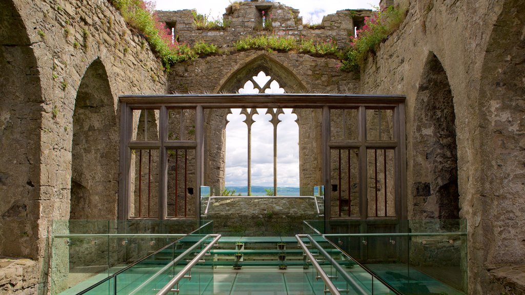 Oystermouth Castle featuring heritage elements