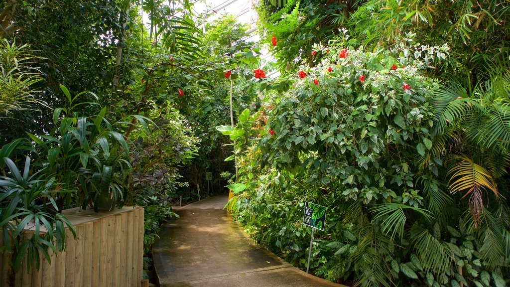 Plantasia ofreciendo jardín