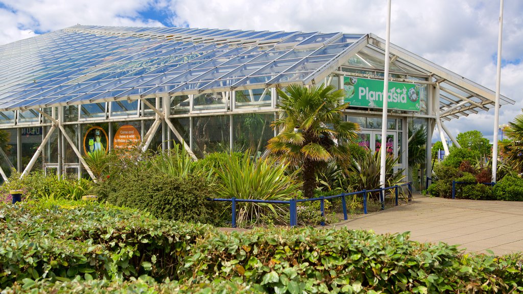 Plantasia featuring a garden