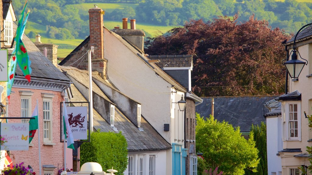 Crickhowell featuring street scenes