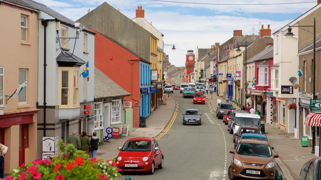 Pembroke showing street scenes