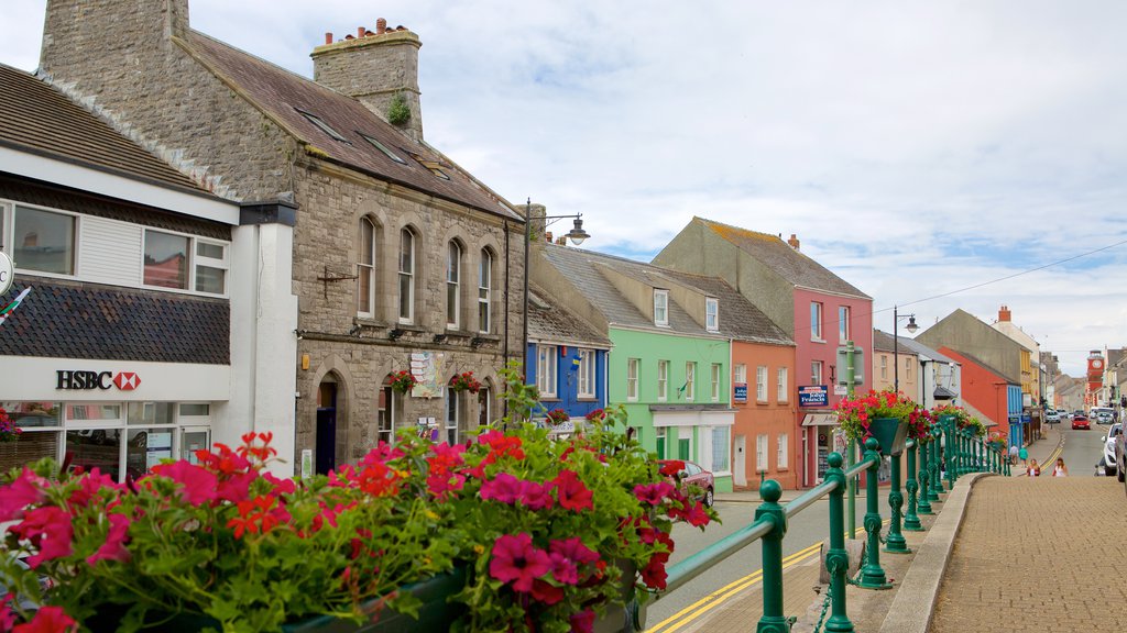 Pembroke showing street scenes