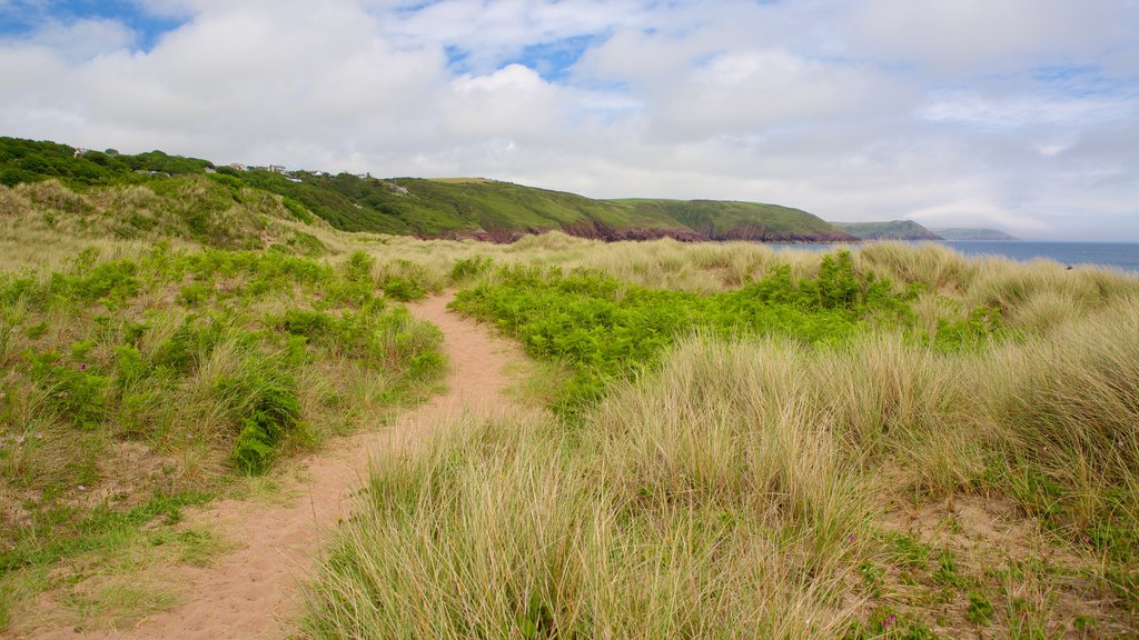 Freshwater East Beach which includes general coastal views and hiking or walking