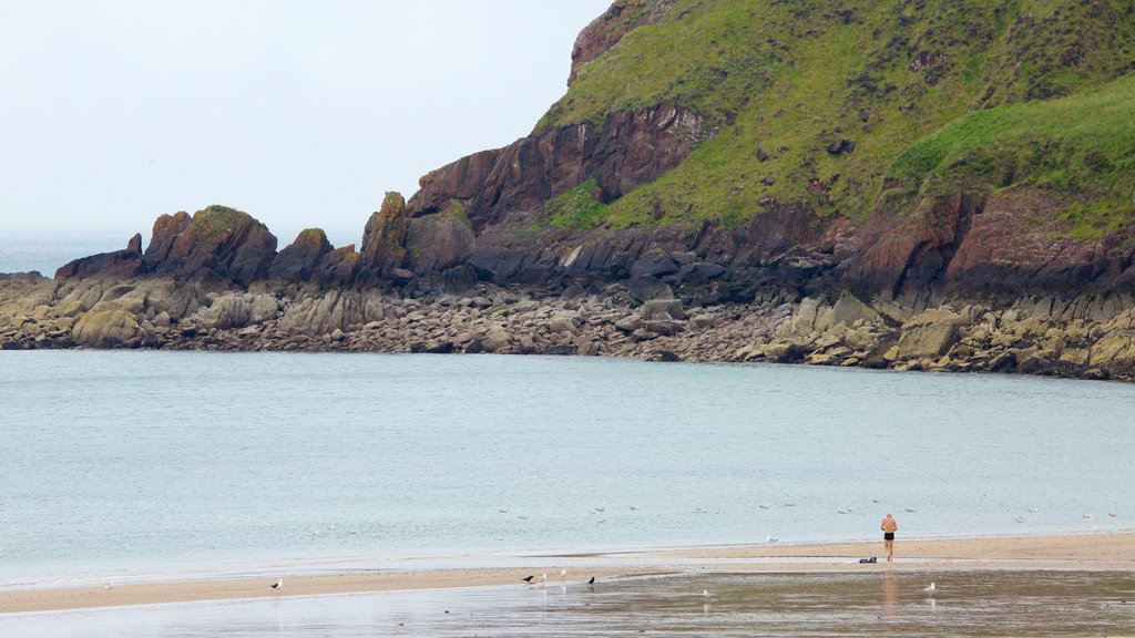 Freshwater East Beach featuring a sandy beach, rocky coastline and general coastal views