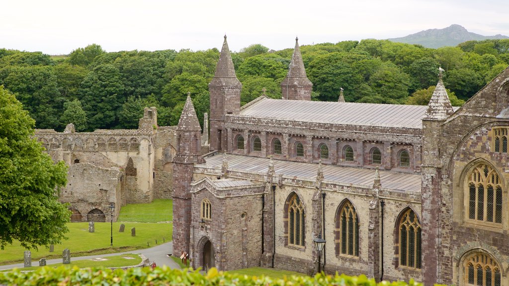 St. Davids que incluye una iglesia o catedral y elementos patrimoniales