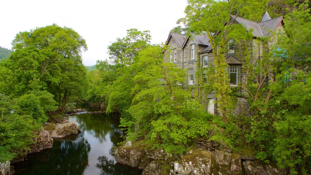 Betws-Y-Coed showing forests, a house and a river or creek