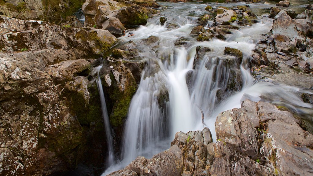 Betws-Y-Coed mostrando una cascada y rápidos