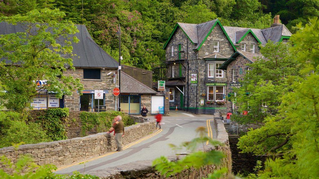 Betws-Y-Coed featuring forest scenes and street scenes