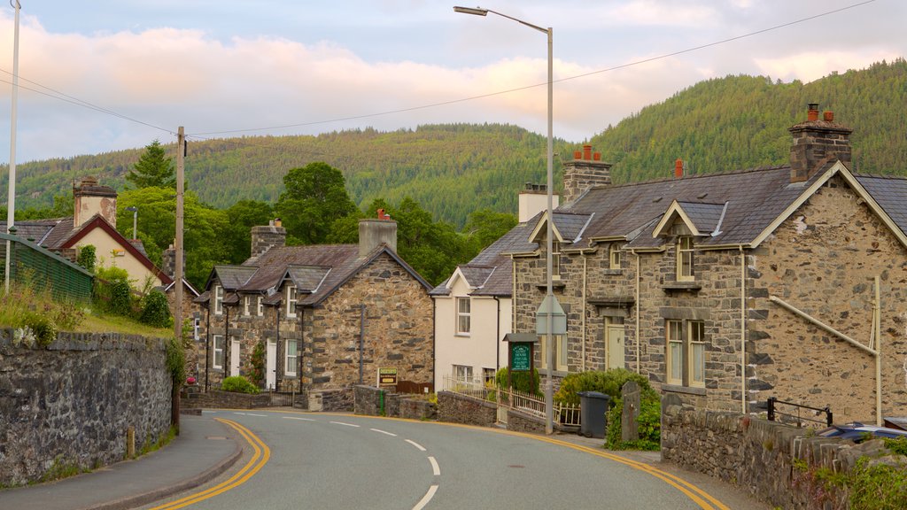 Betws-Y-Coed showing street scenes