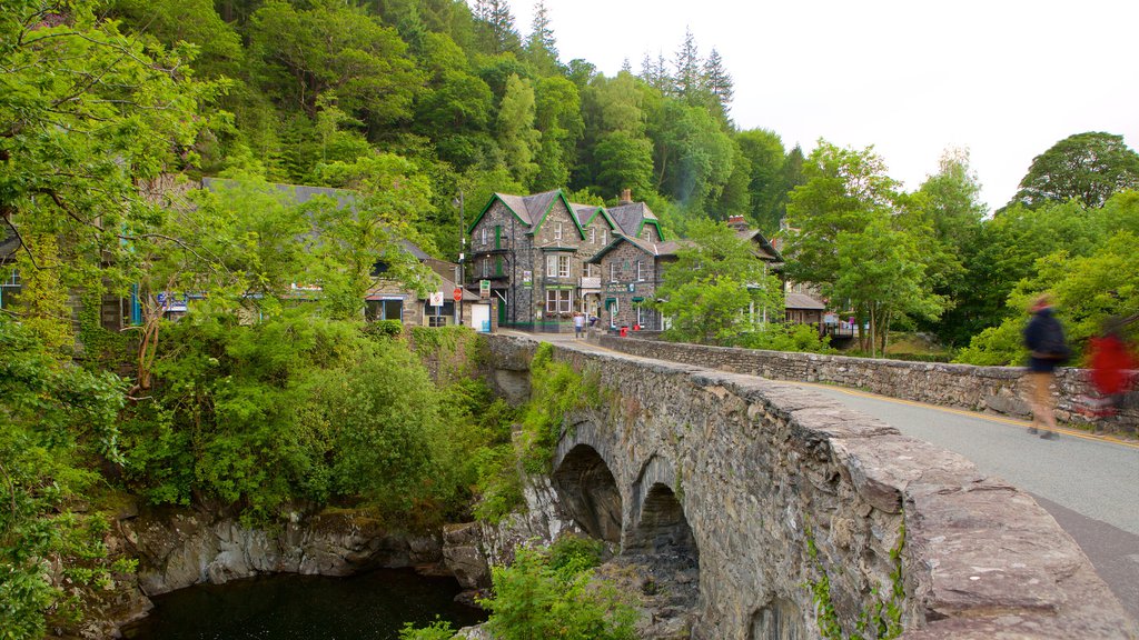 Betws-Y-Coed mostrando un puente y imágenes de bosques