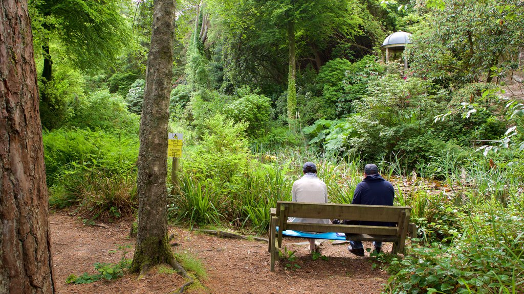 Portmeirion featuring a garden as well as a small group of people