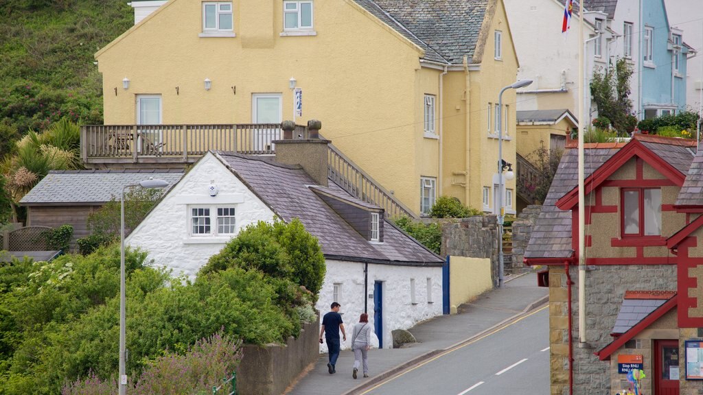 Criccieth showing street scenes