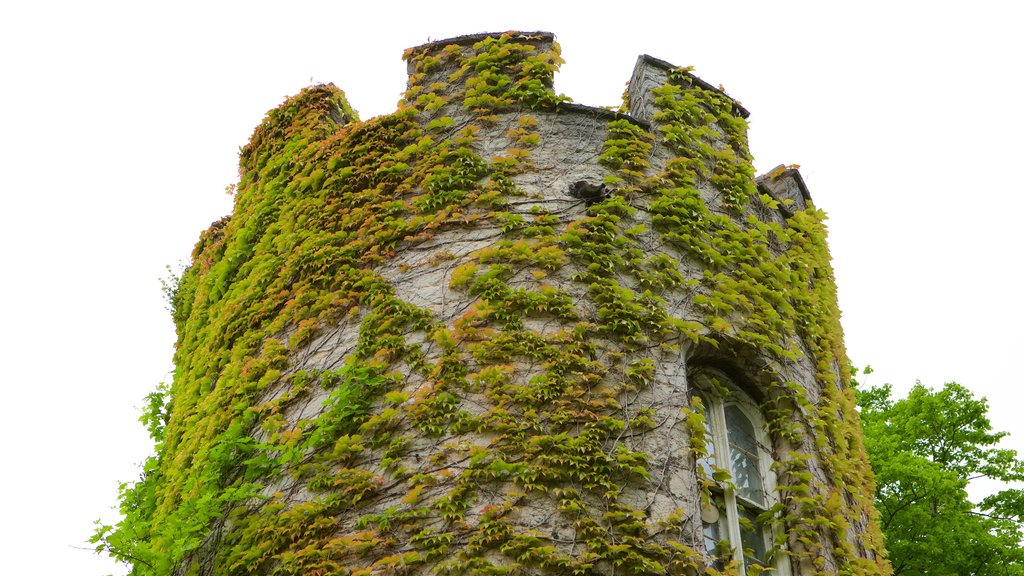 Bodelwyddan Castle showing chateau or palace and heritage elements