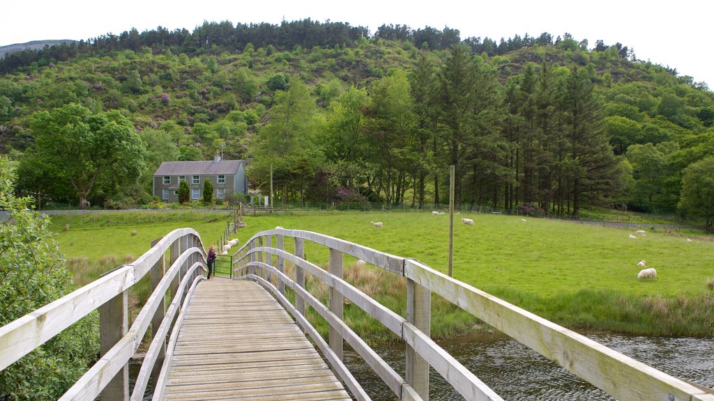 Betws Garmon showing farmland and a bridge