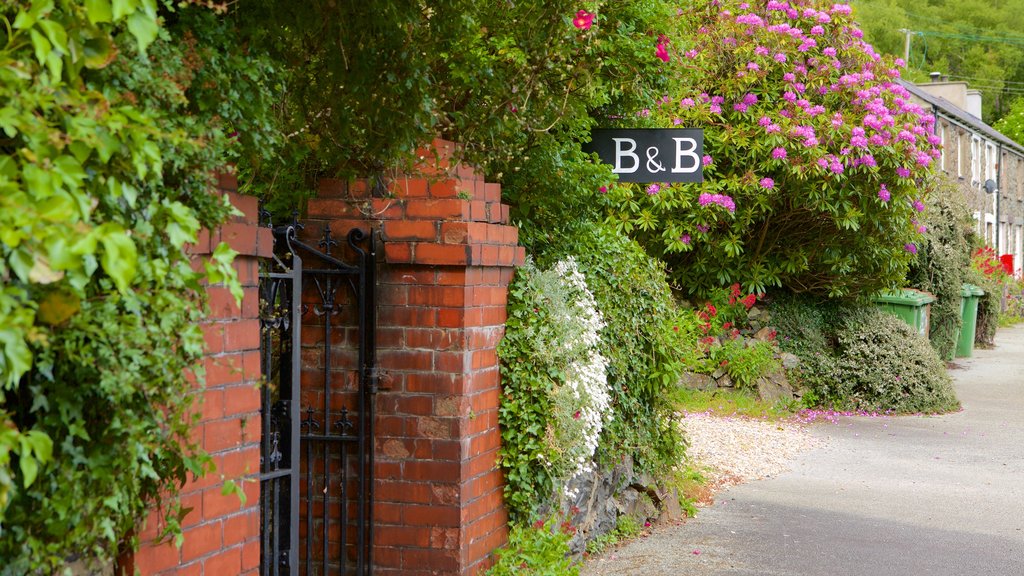 Betws Garmon showing street scenes