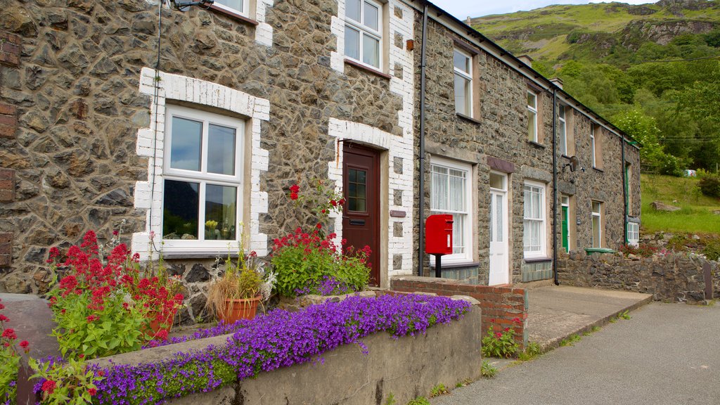 Betws Garmon showing street scenes and a house