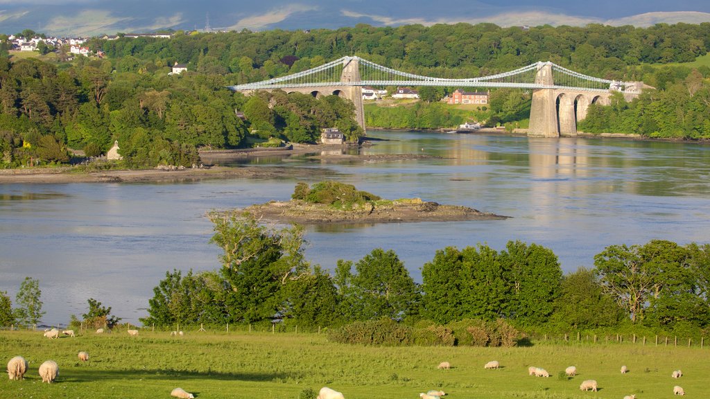 Ponte Menai que inclui uma ponte, fazenda e um rio ou córrego