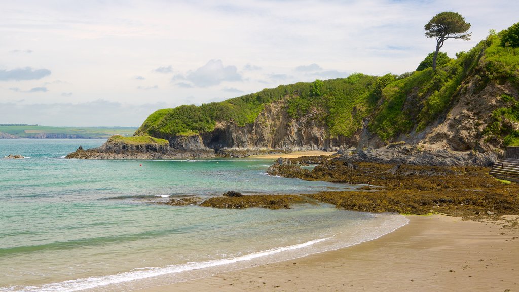 Pembrokeshire Coast National Park showing a bay or harbour and a beach