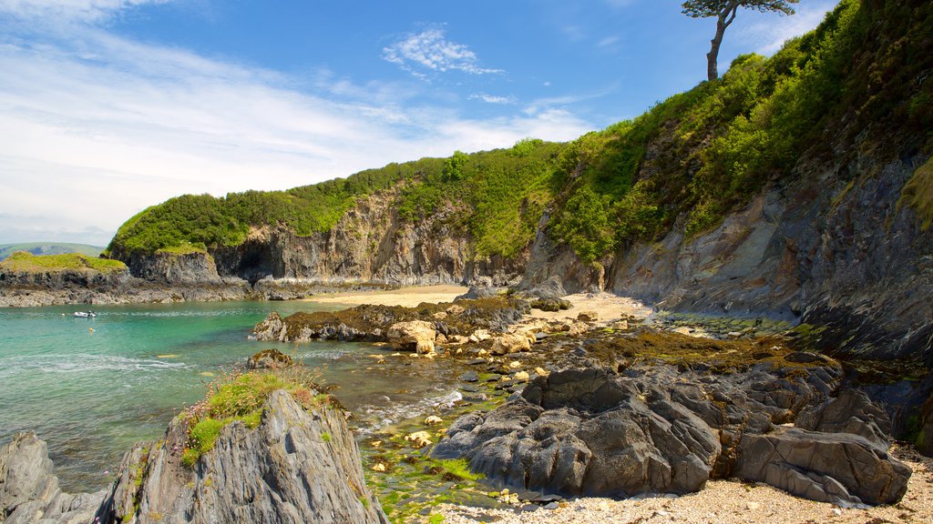 Parque Nacional Pembrokeshire Coast mostrando vista panorámica, costa rocosa y una bahía o un puerto