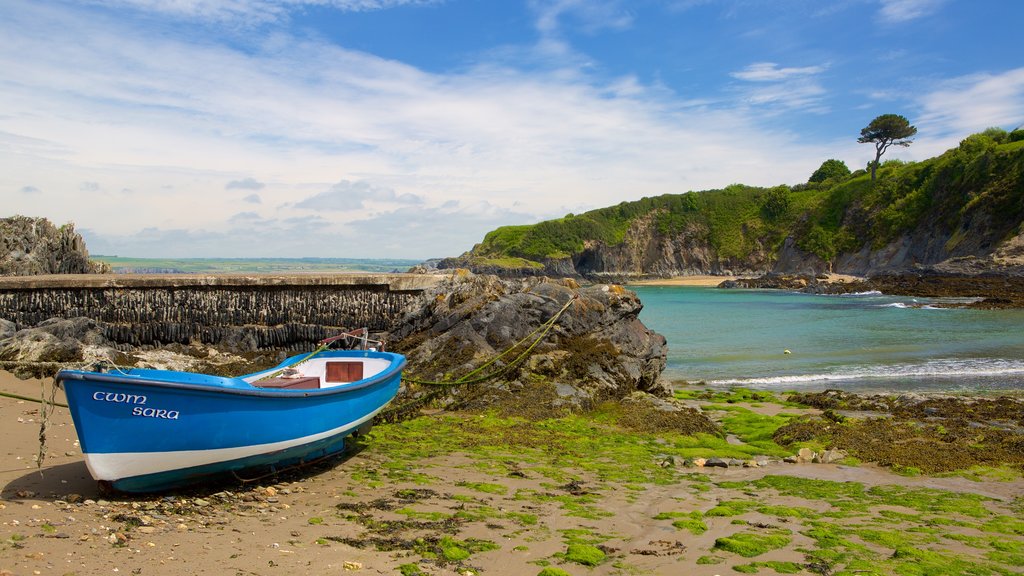 Pembrokeshire Coast National Park showing general coastal views and boating