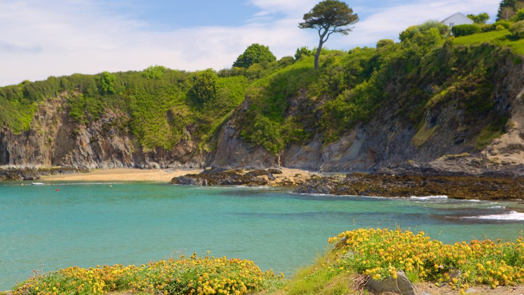 Parque Nacional Pembrokeshire Coast ofreciendo vistas generales de la costa y costa escarpada