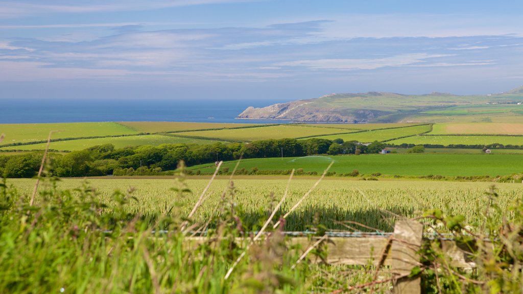 Pembrokeshire Coast National Park showing farmland