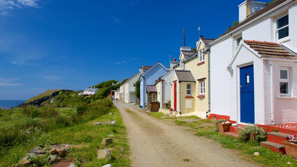 Pembrokeshire Coast National Park which includes street scenes and a coastal town