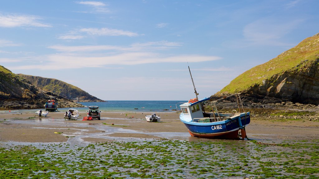 Pembrokeshire Coast National Park showing boating and a sandy beach