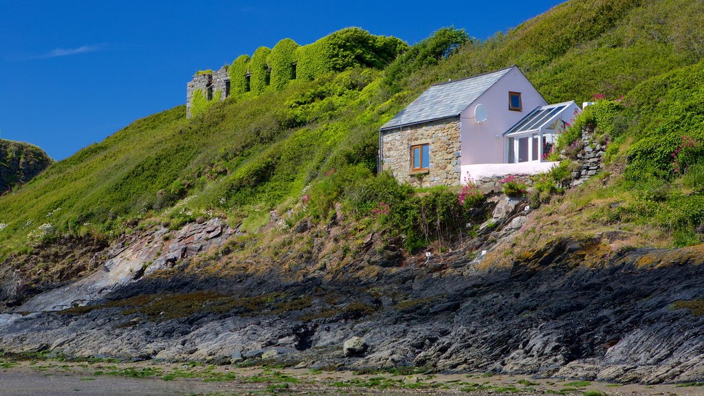 Taman Nasional Pantai Pembrokeshire yang mencakup rumah