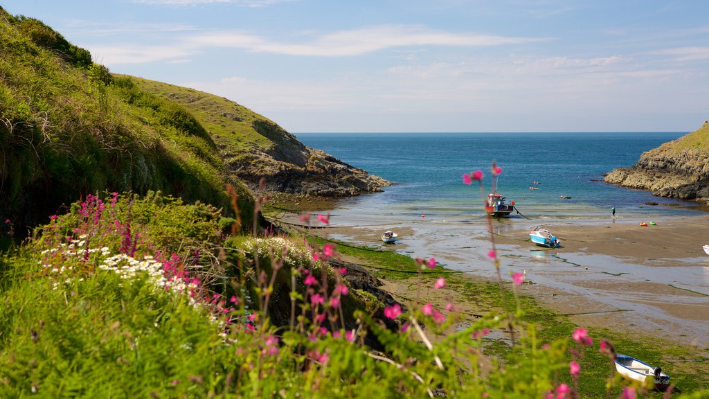 Parque Nacional Pembrokeshire Coast que incluye vistas generales de la costa y una playa de arena