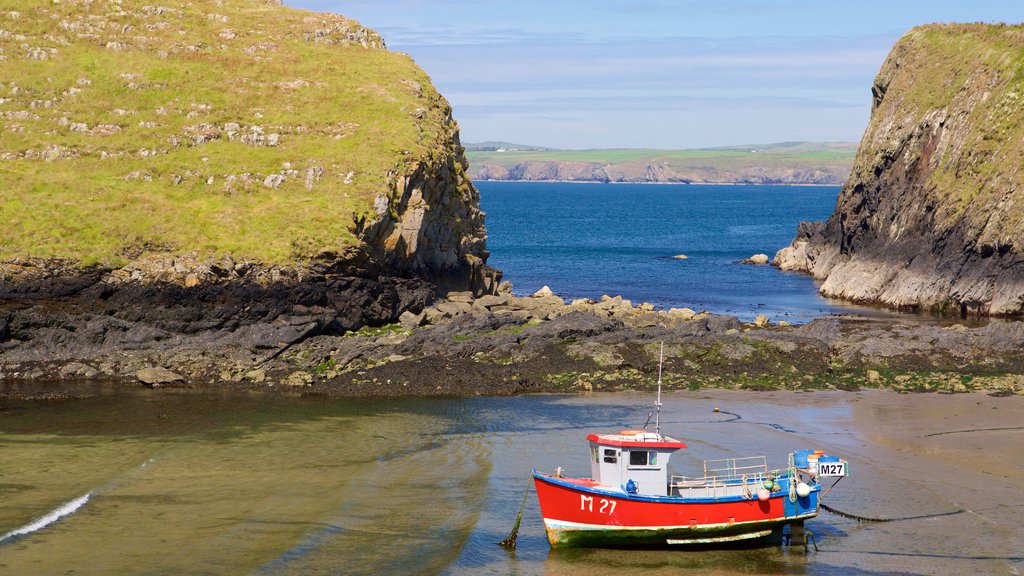 Pembrokeshire Coast National Park which includes boating, general coastal views and a sandy beach