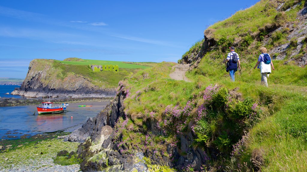 Parque Nacional Pembrokeshire Coast que incluye senderismo o caminata y vistas generales de la costa