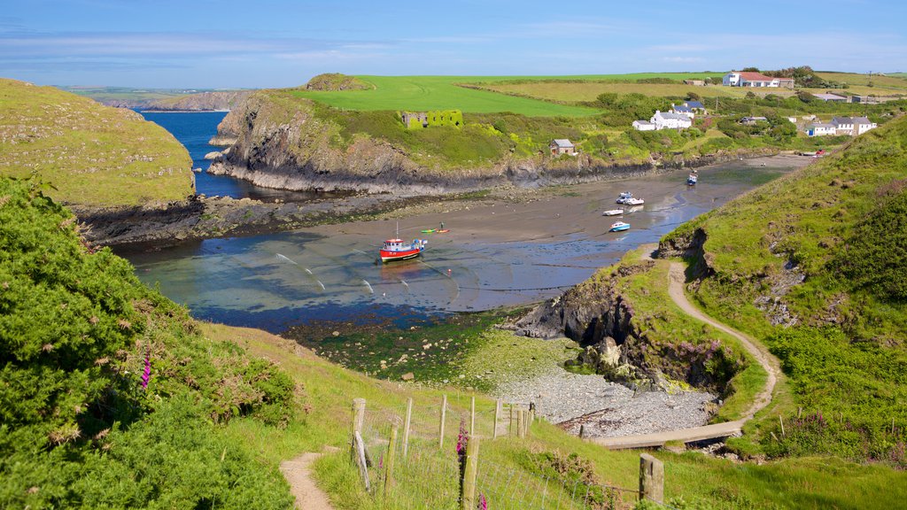 Parque Nacional Pembrokeshire Coast ofreciendo vista panorámica y vista general a la costa