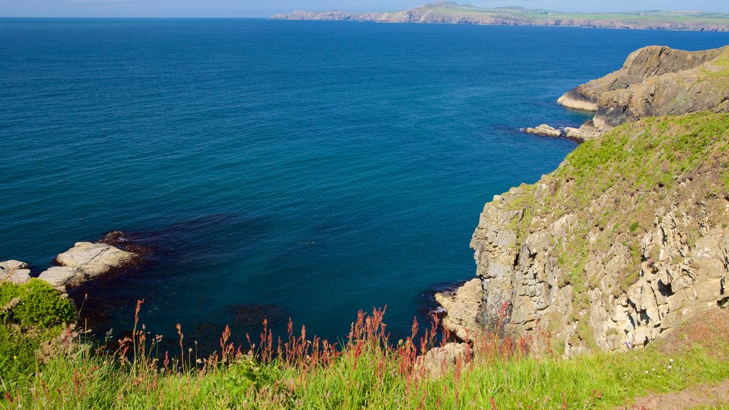 Parque Nacional Pembrokeshire Coast ofreciendo costa escarpada