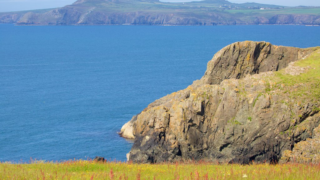 Pembrokeshire Coast National Park showing rocky coastline