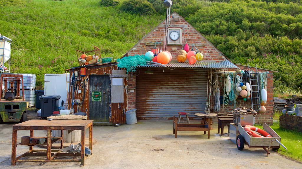 Pembrokeshire Coast National Park showing a house