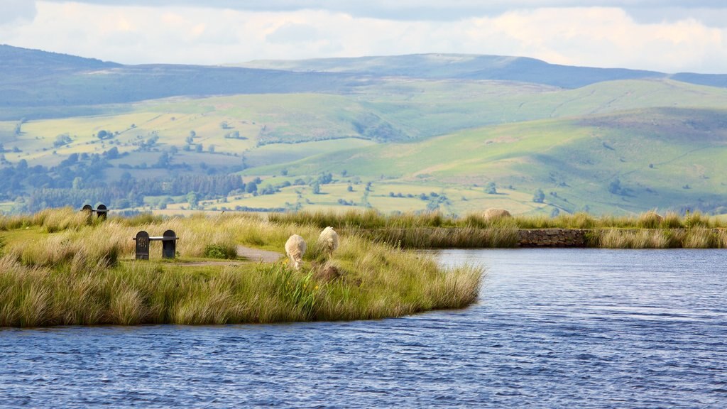 Parque Nacional Brecon Beacons que inclui um lago ou charco e fazenda