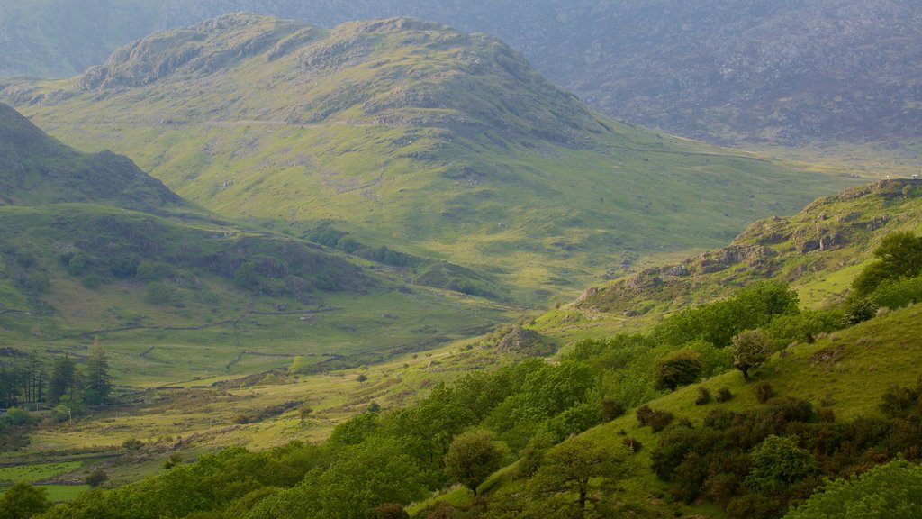 Parque Nacional de Snowdonia ofreciendo montañas y escenas tranquilas