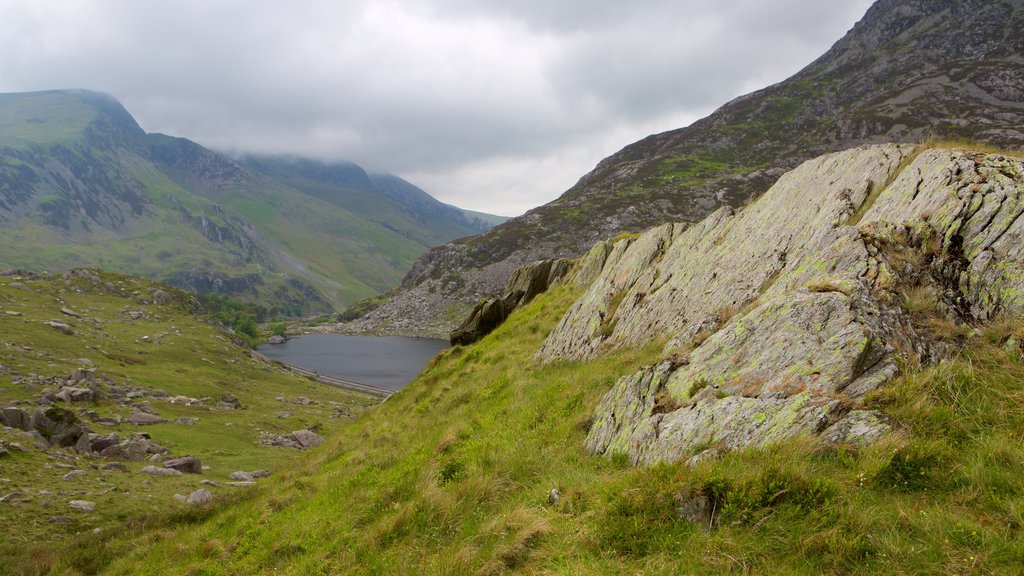 Parque Nacional de Snowdonia que incluye escenas tranquilas y montañas