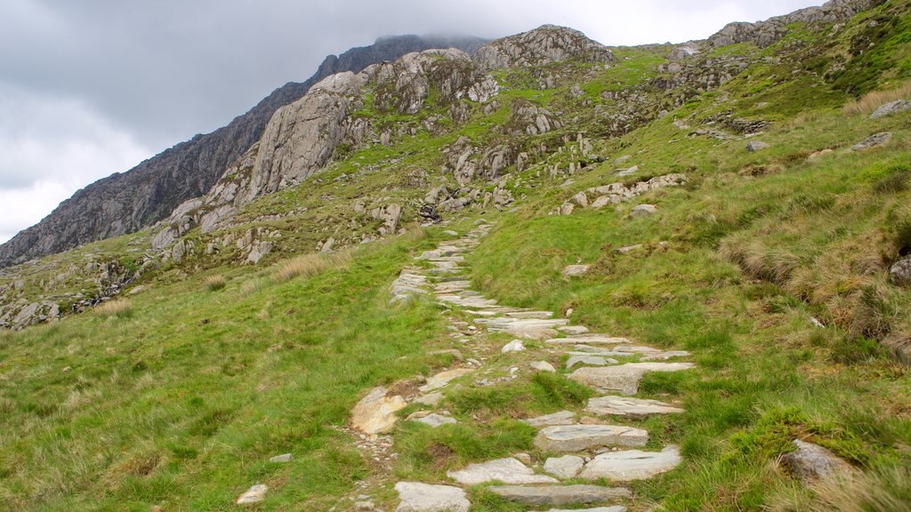 Parque Nacional de Snowdonia ofreciendo escenas tranquilas