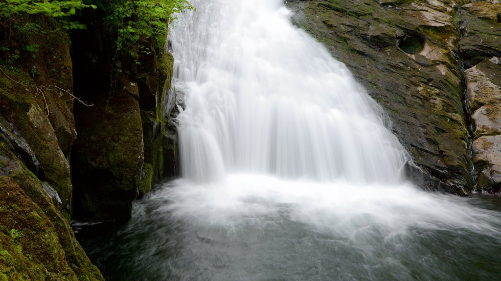 Swallow Falls featuring a waterfall