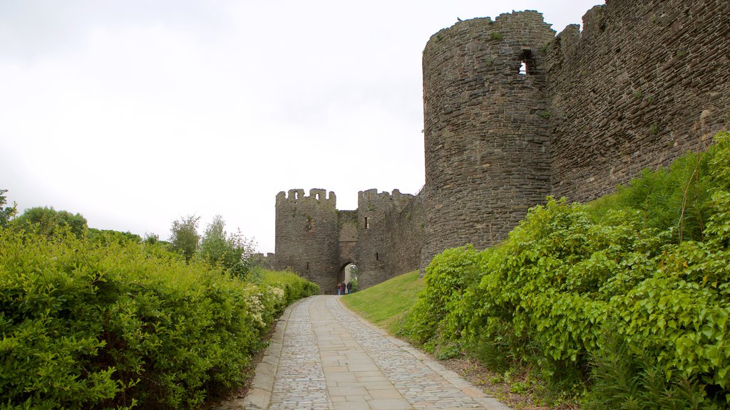 Conwy Castle showing a castle and heritage elements