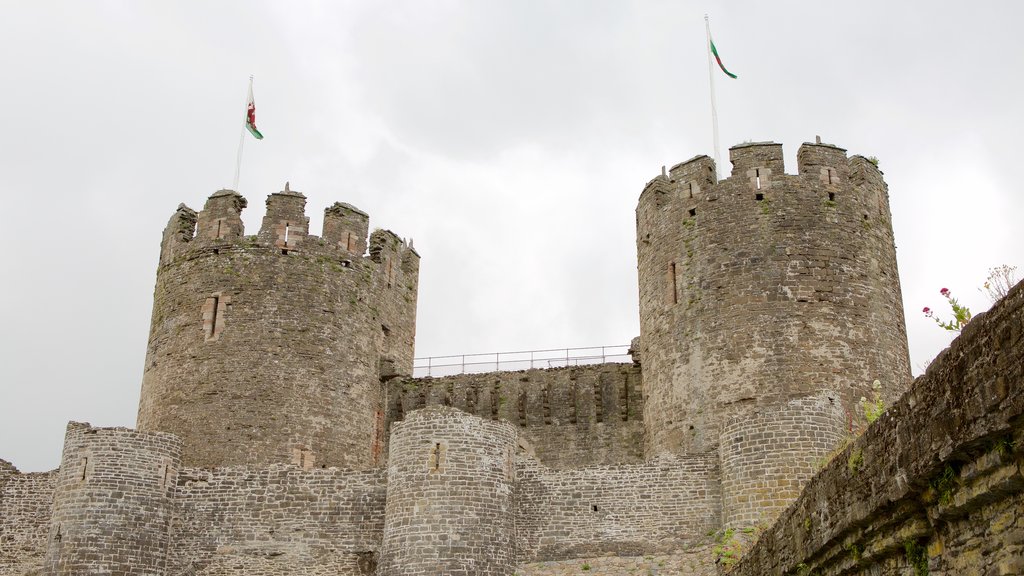 Conwy Castle welches beinhaltet Geschichtliches und Palast oder Schloss