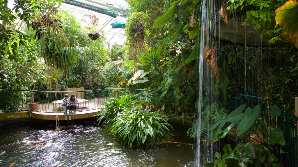 Plantasia which includes interior views, a garden and a pond