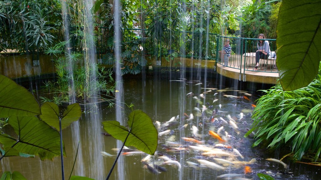 Plantasia caracterizando vistas internas, um parque e um lago